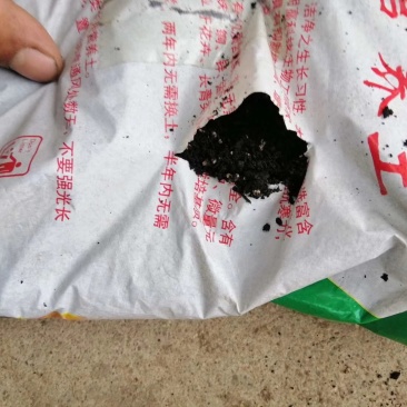 营养土