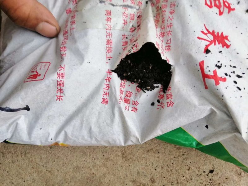 营养土