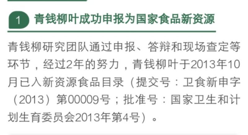 青钱柳树苗