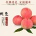 汁甜如蜜果肉细腻色泽艳丽个大味香，营养丰富。5斤装包邮！