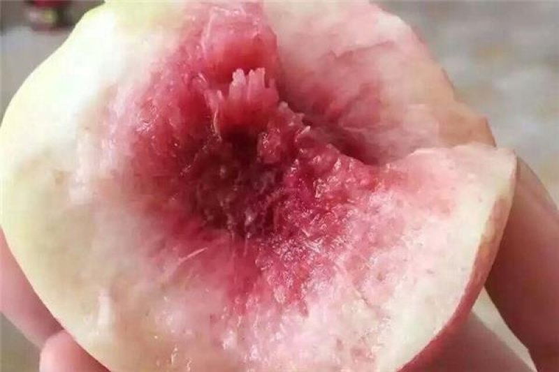 汁甜如蜜果肉细腻色泽艳丽个大味香，营养丰富。5斤装包邮！