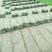 无土沙培草坪