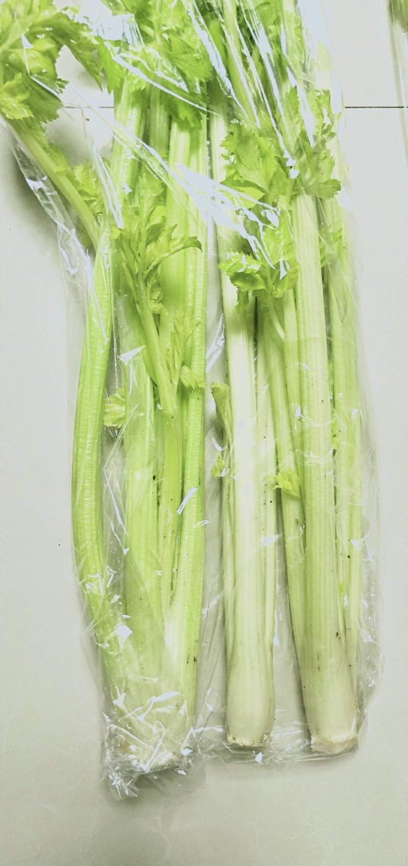 马家沟实心芹