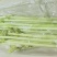 马家沟实心芹