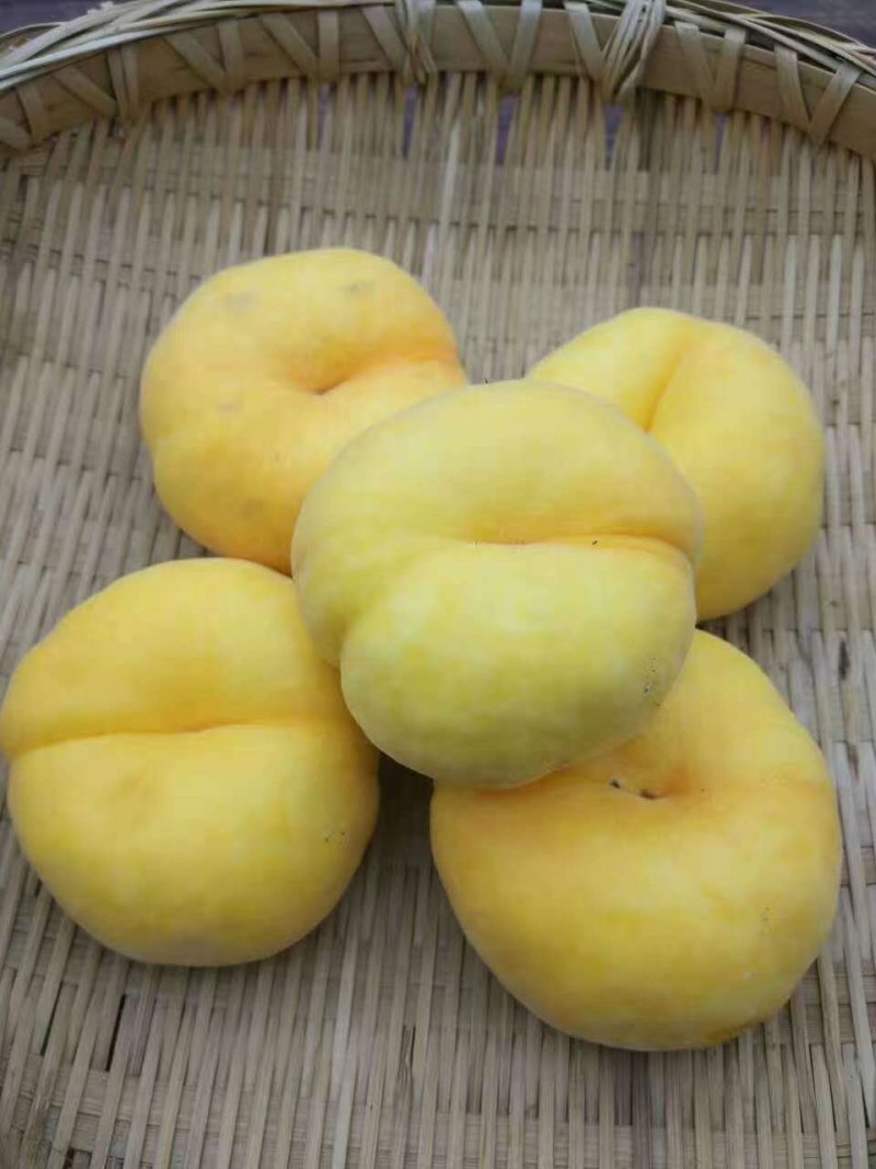 汁甜如蜜5斤装包邮，果肉细腻个大味香，营养丰富。