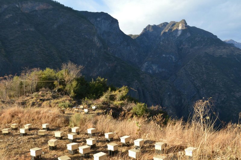纯天然蜂蜜，深山原蜜，无添加任何添加剂