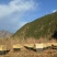 纯天然蜂蜜，深山原蜜，无添加任何添加剂