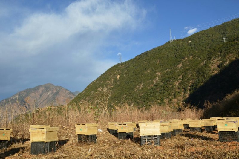 纯天然蜂蜜，深山原蜜，无添加任何添加剂