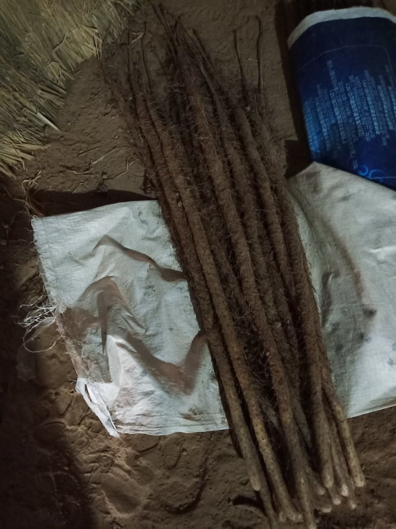 铁棍山药
