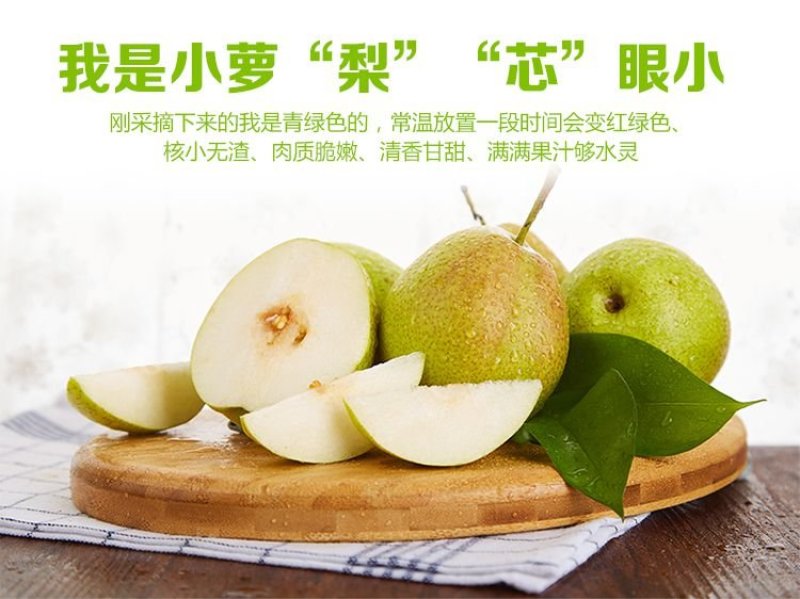 红香酥梨赵州特产新鲜采摘果园直发支持一件代发