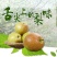 红香酥梨赵州特产新鲜采摘果园直发支持一件代发