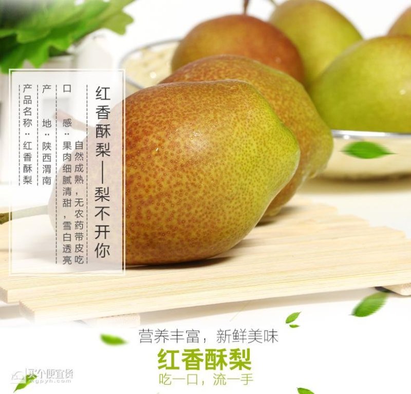 红香酥梨赵州特产新鲜采摘果园直发支持一件代发