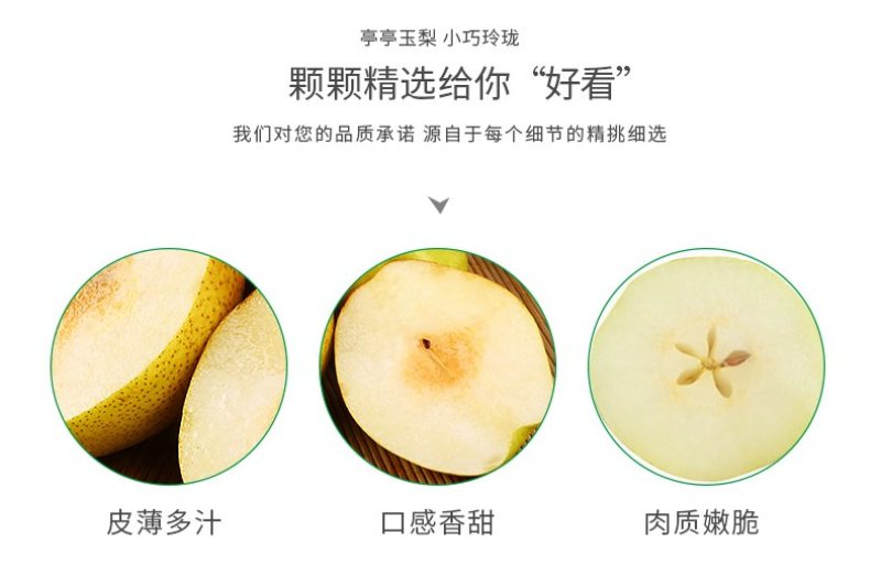 红香酥梨赵州特产新鲜采摘果园直发支持一件代发