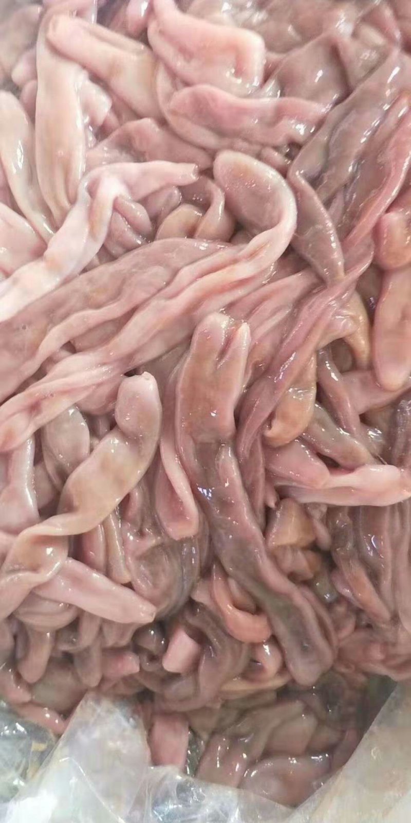 海肠，袋装，，，，，，，