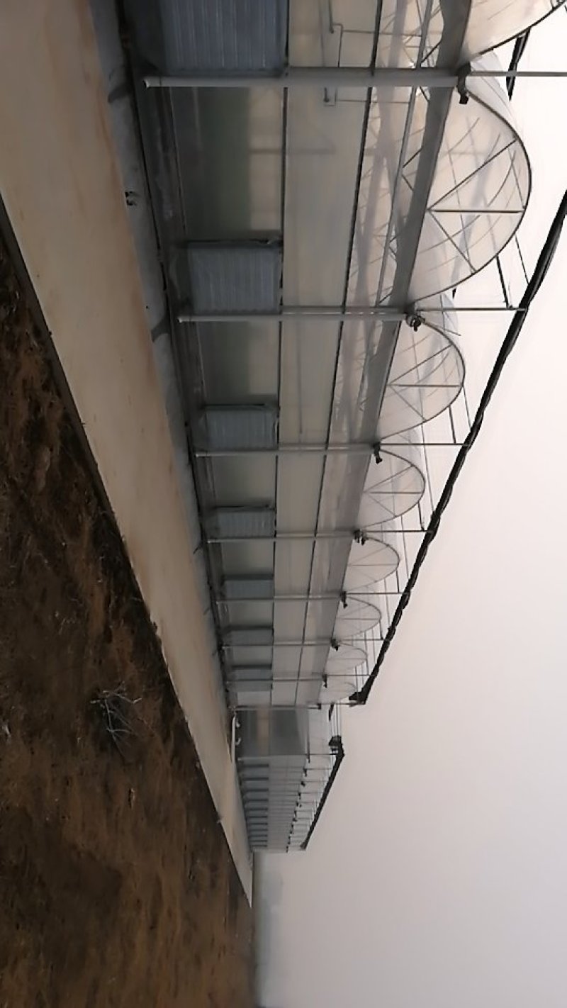 原阳县盛有农业发展有限公司