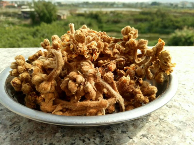 枇杷花