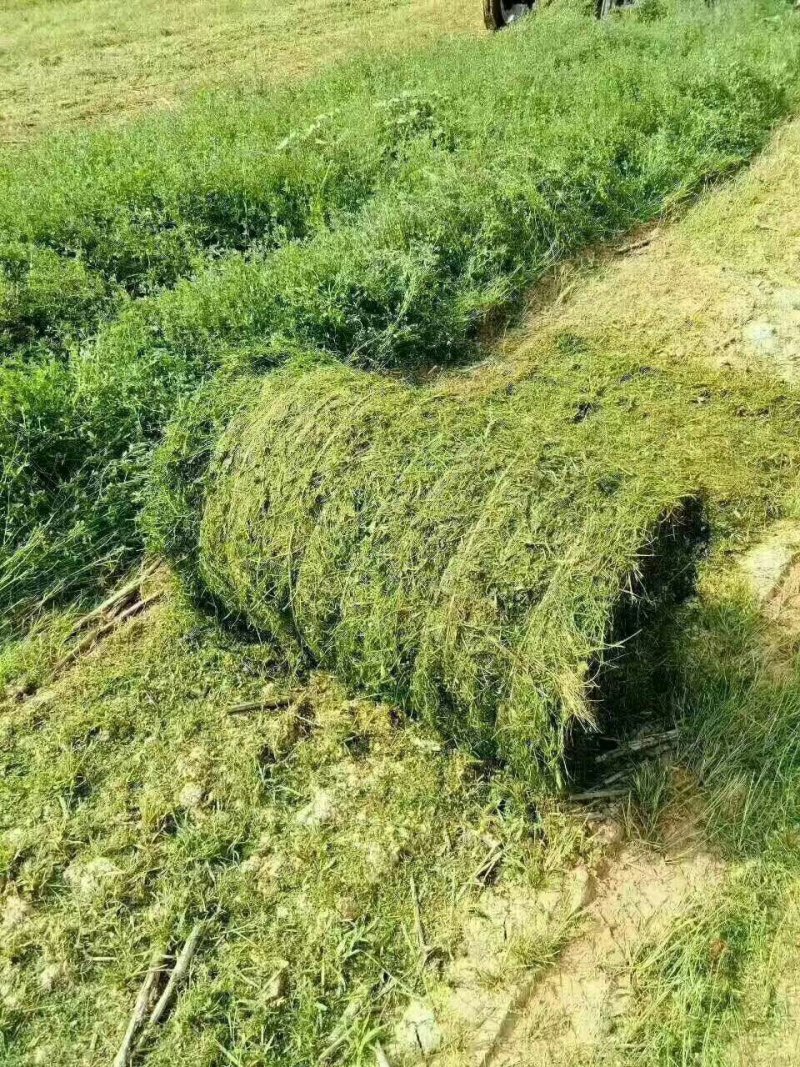 秸秆打捆机揉丝机包膜机