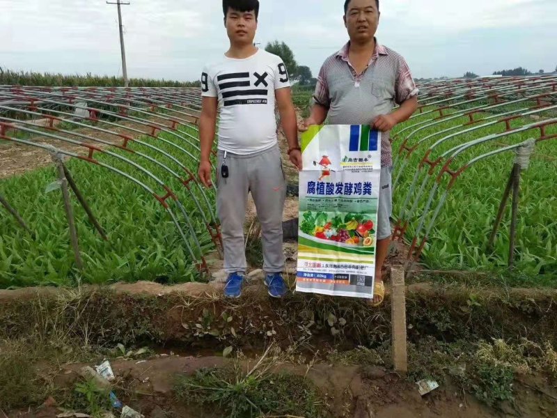 腐植酸发酵鸡粪:改良土壤，破除板结，提高肥料利用率保肥