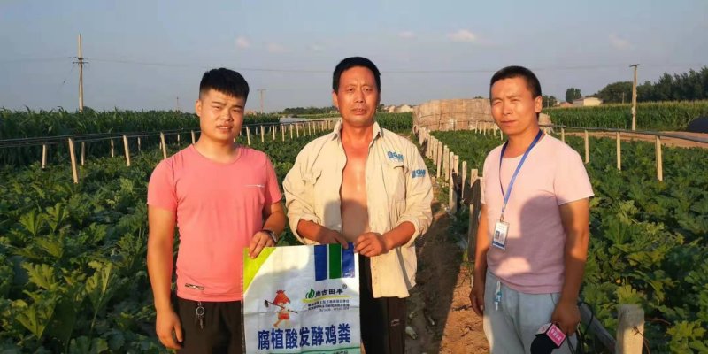 腐植酸发酵鸡粪:改良土壤，破除板结，提高肥料利用率保肥