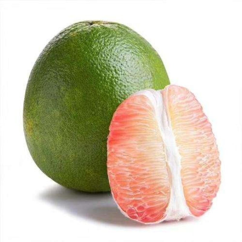 【正品】泰国青皮柚苗泰国红宝石柚苗质量保证