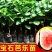 包邮新红宝石芭乐苗带杯带土裸根产量高香甜可口