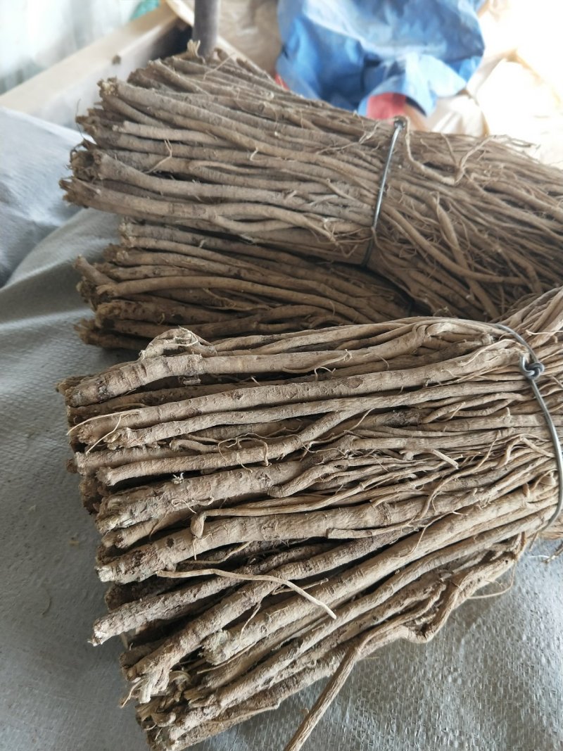 黄芪中条甘肃产地批发零售，货源充足