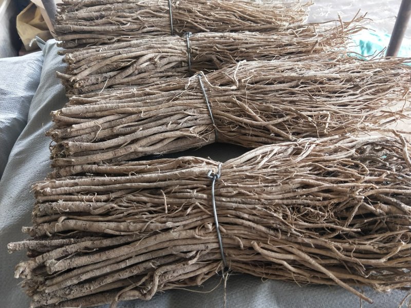 黄芪中条甘肃产地批发零售，货源充足