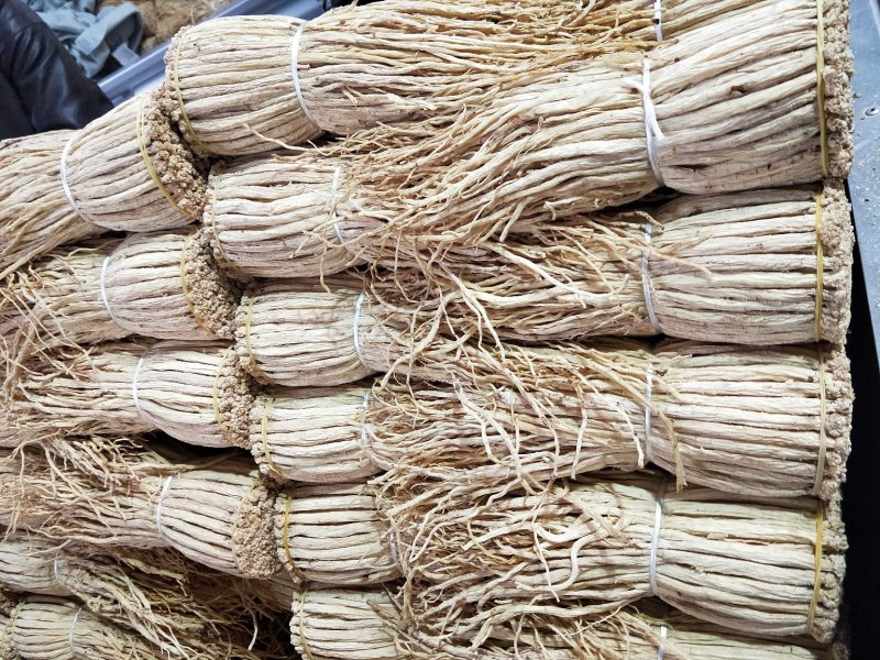 党参把子，甘肃产地批发零售，货源充足
