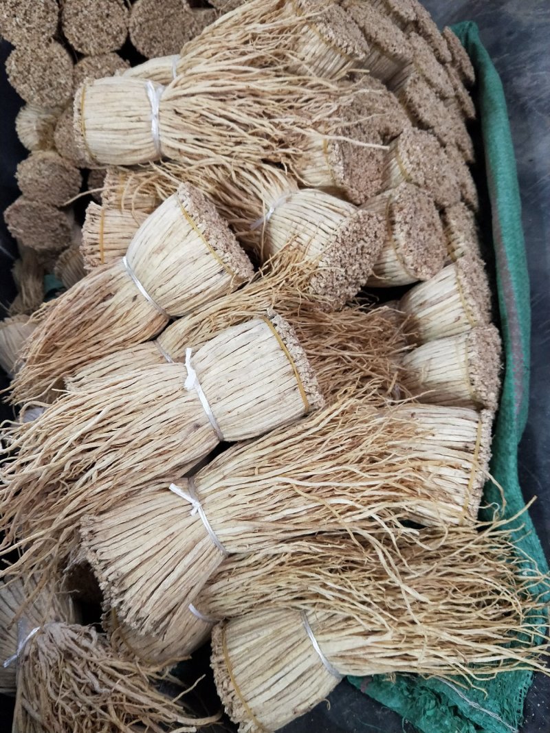 党参把子，甘肃产地批发零售，货源充足