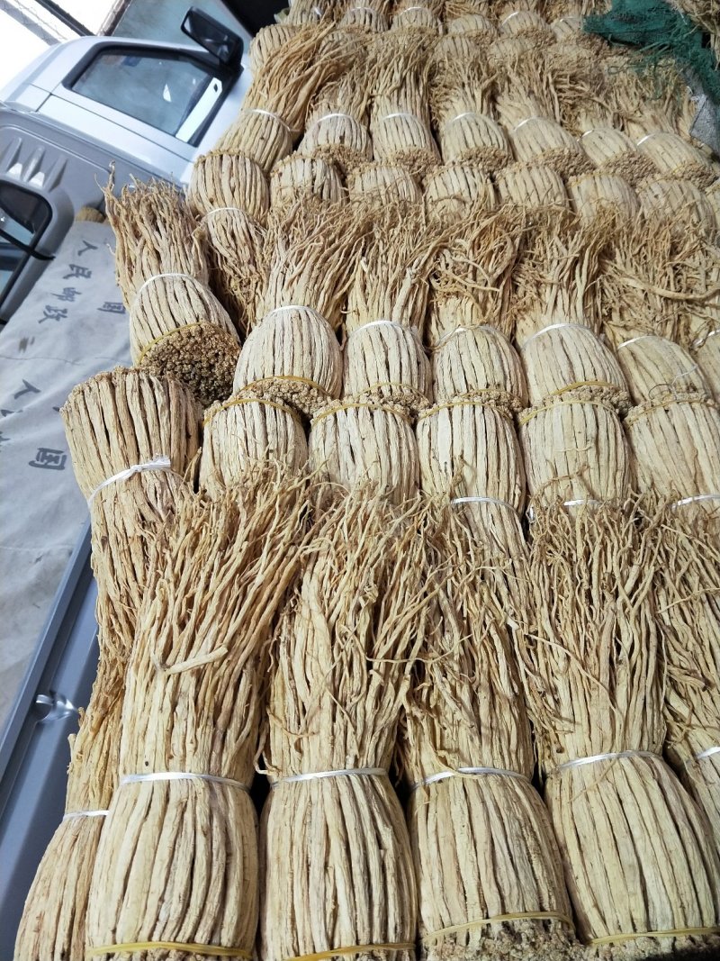 党参把子，甘肃产地批发零售，货源充足