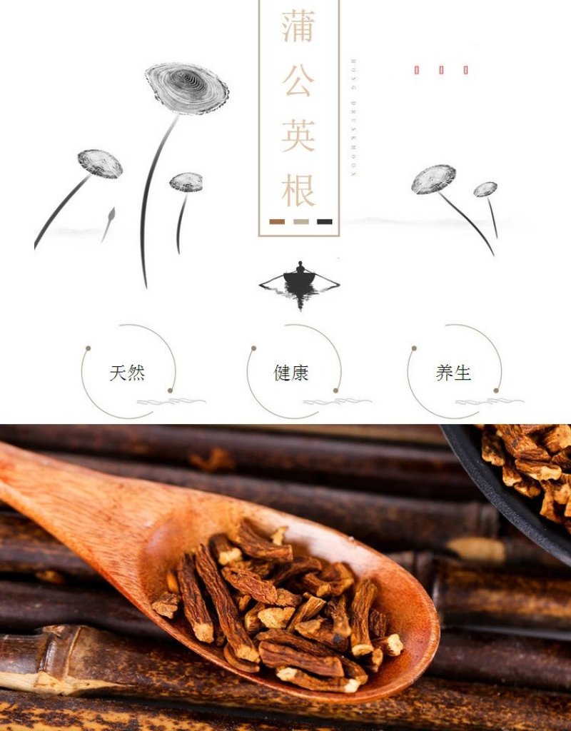 长白山的野生蒲公英根小根婆婆丁根茶养生批发
