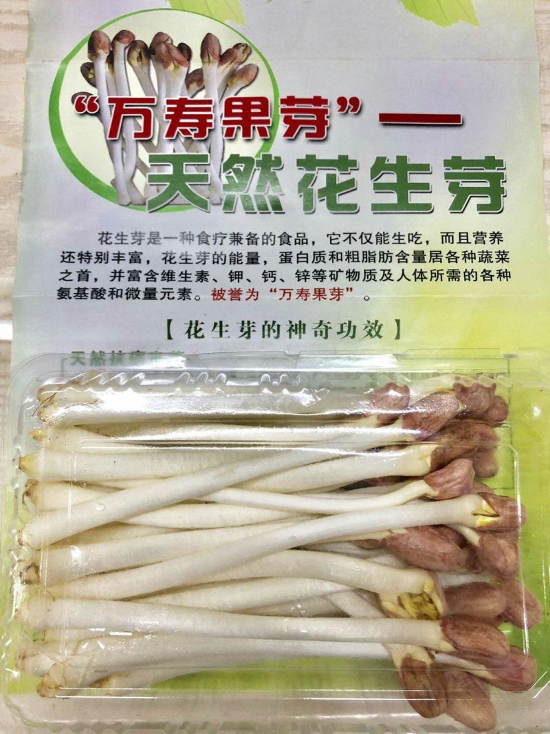 几千块就能在家创业每平日产200斤/月入几万水培花生芽