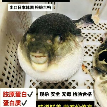 王氏水产