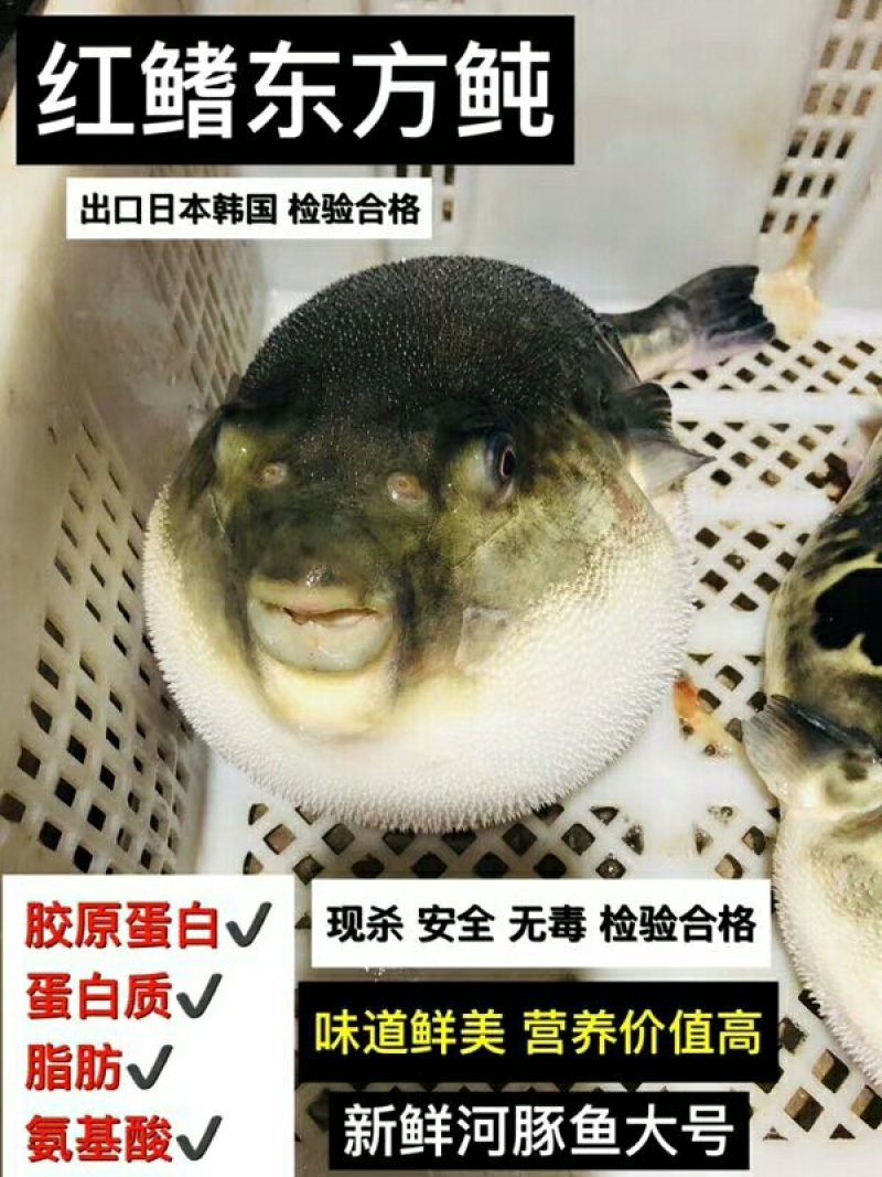 王氏水产