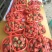 巧克力草莓红颜草莓中大果