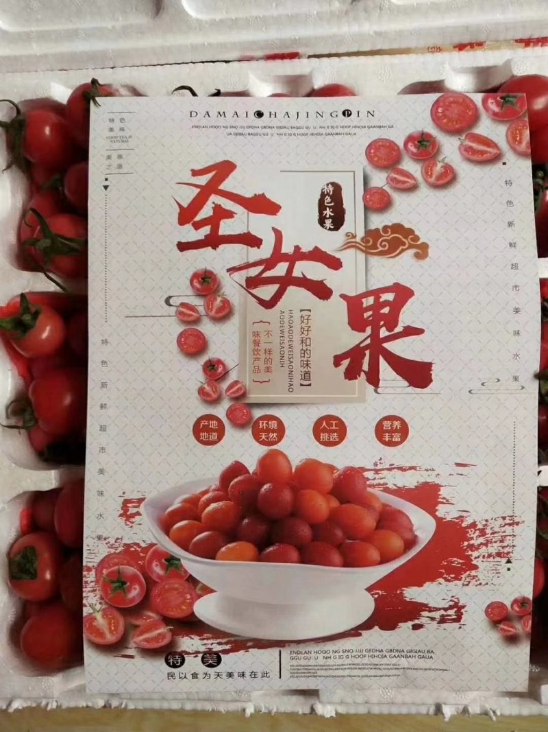 山东聊城圣女果（千禧6号）