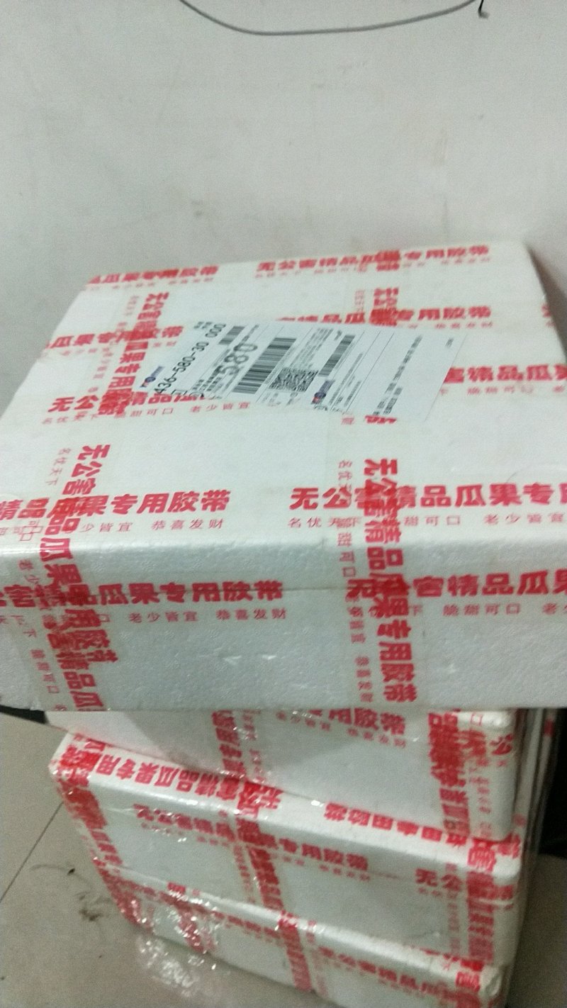 山东聊城圣女果（千禧6号）