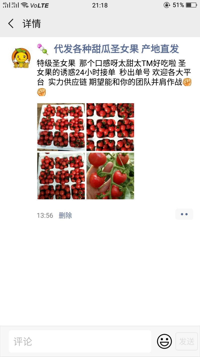 山东聊城圣女果（千禧6号）
