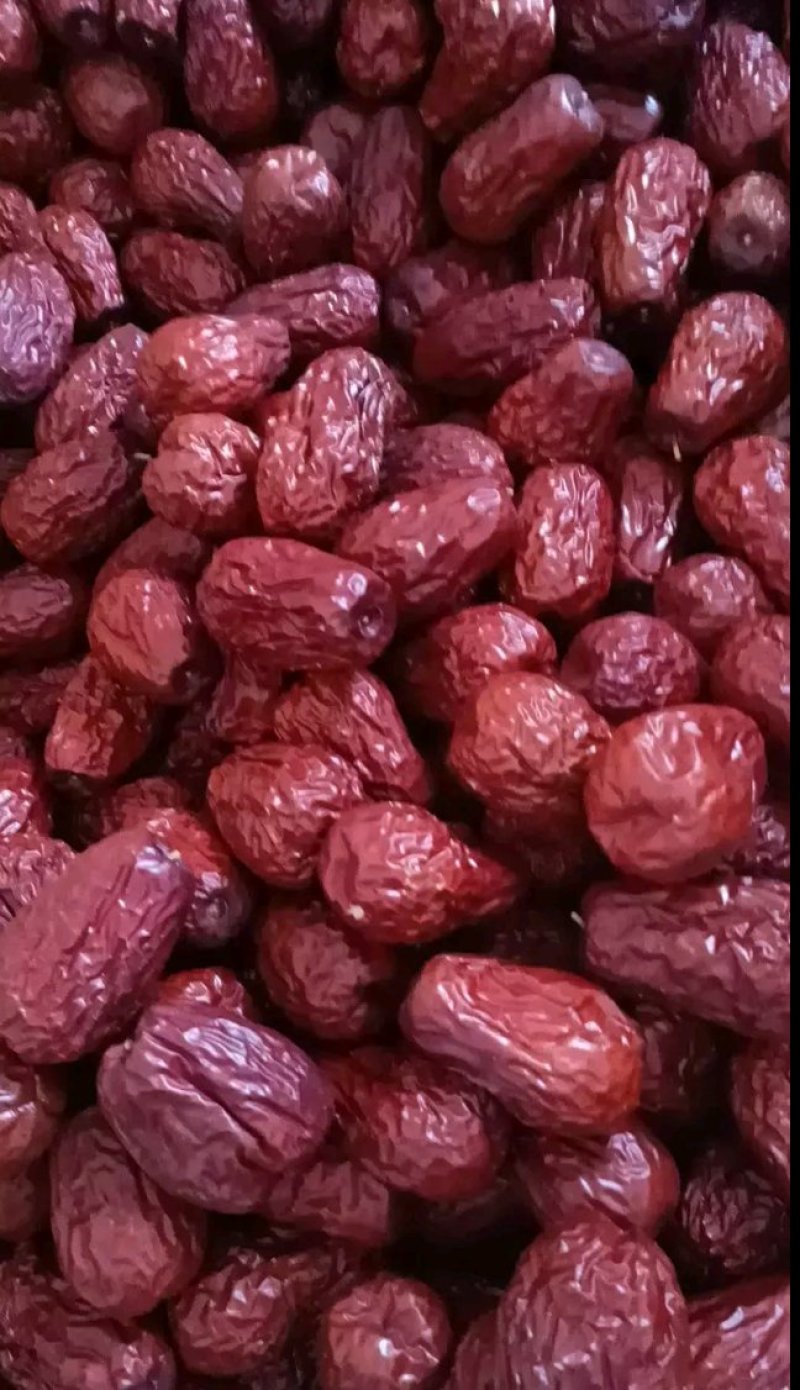 新疆红枣