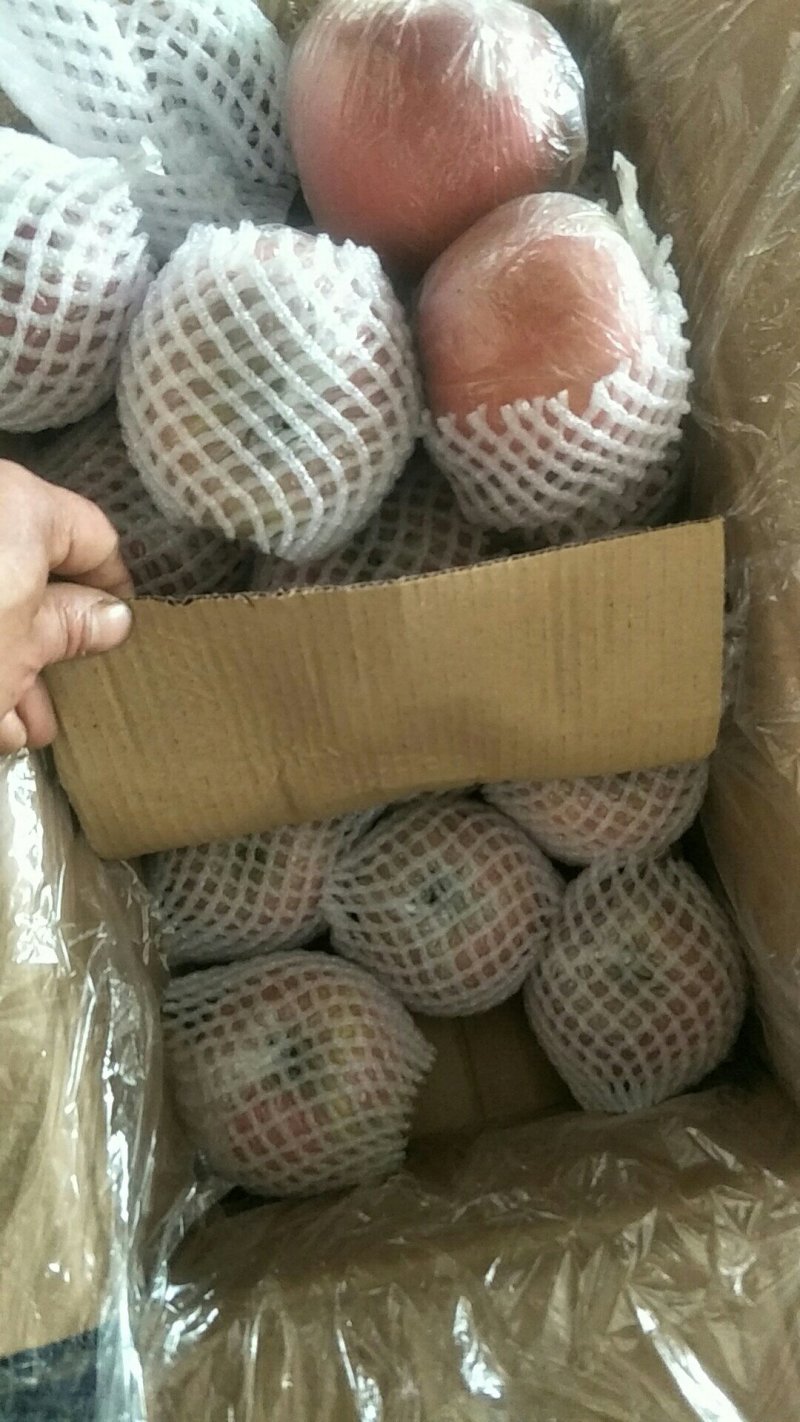 苹果