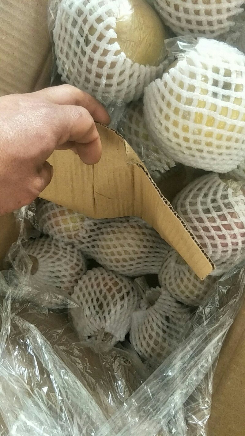 苹果