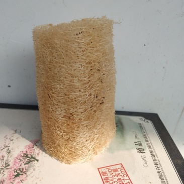 丝瓜络