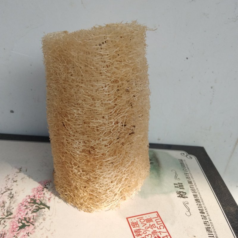 丝瓜络