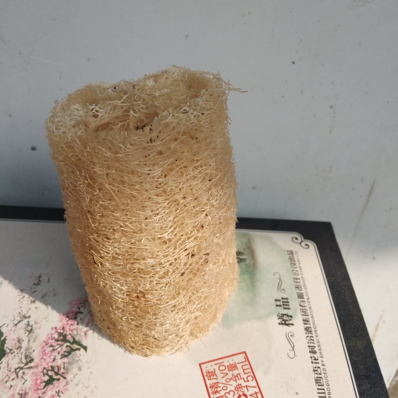 丝瓜络