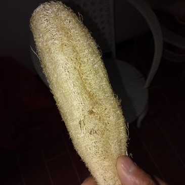 丝瓜络