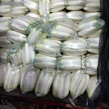 白萝卜