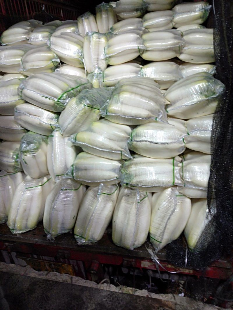 白萝卜