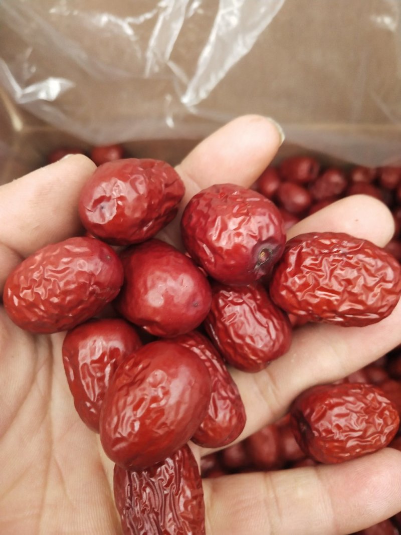 新疆灰枣，刚刚精选出来，