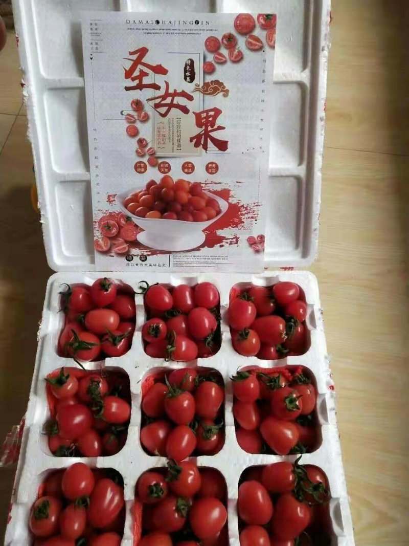 圣女果小柿子千禧贝贝招电商代理一件代发产地直发