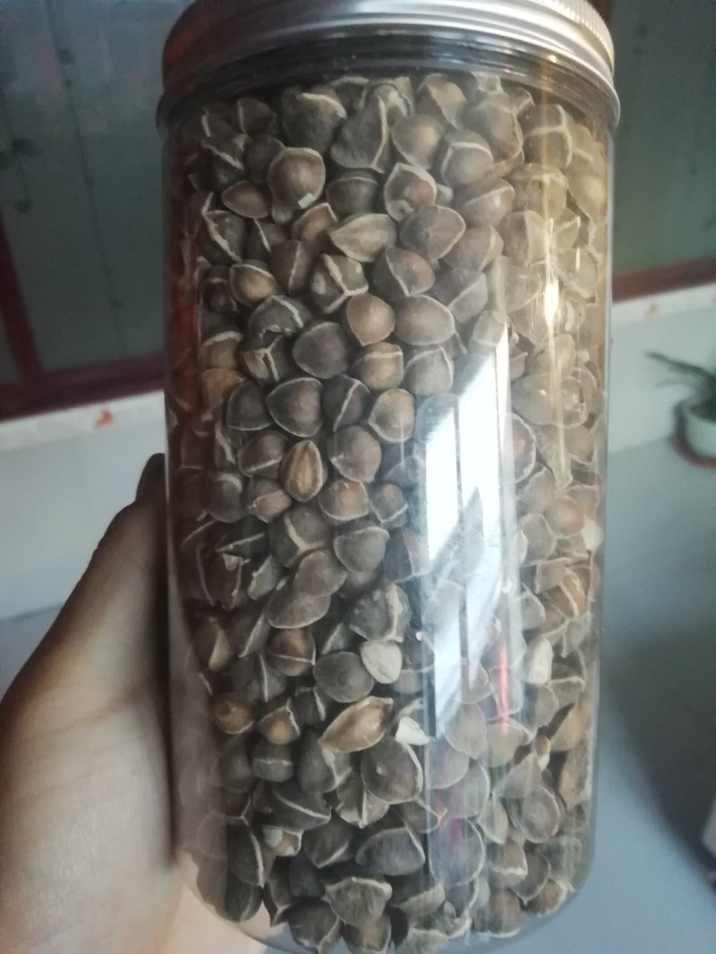 小号辣木籽，便宜了！